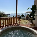 비행기나무 이미지