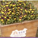 월송동주민센터 이미지