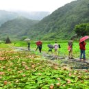 오오오!새드 무비 날 울려줘요ㅡ삼고초려編 이미지