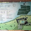 미네팜 | 보홀 노스젠빌라 조식 자연을 느낄 수 있는 보홀 리조트 내돈내산 2박 후기