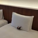 정빈카 | 오키나와 🏨 하얏트 리젠시 세라가키 2박 후기 #라군뷰 #조식 #시라카치 #수영장