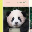 정직한셀러10