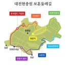 산책 | 대전 국립현충원 벚꽃 봄 산책 후기