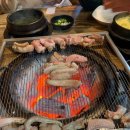 나루터 산꼼장어