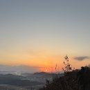 세종동_전월산 무궁화 테마공원 이미지