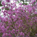 순흥약수터 이미지