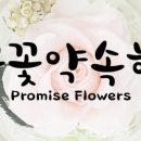 꽃꽃약속해