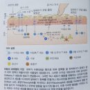 Re: 만성 두드러기, 건선, 아토피 피부질환 - 히스타민 분해를 통해 치료하는 법 이미지