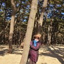 갈음이 해상낚시공원 | 나만 알고 싶은 바닷가, 태안 갈음이 해수욕장(충남 태안군 근흥면 정죽리 산147-46)