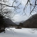 스테이 오년 이미지