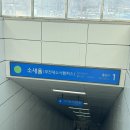 지에스25 마곡W타워점 | 마곡여행| 마곡 1박 2일 총정리 ₊*｡⁺✩ w/ 서울식물원