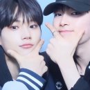 투빈