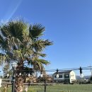 헤드홈탐라 이미지