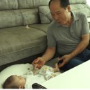 정읍가축인공수정소 | 인간극장 5373회 병환씨의 속터지는후계수업 가평한우목장 씨수소육종농가