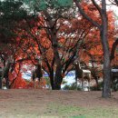 우제류를위하여 이미지