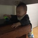 기린돌 이미지