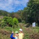 여귀산 | 전남 진도 가을 산행, 다도해 조망, 여귀산 최단코스(23.10)