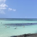 코난비치 이미지