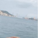 애견일번지 이미지