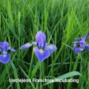 비에이치씨 옥동점 이미지