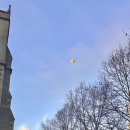 크로와상 테리 이미지