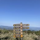동산리 정자 옆 | 팔공산 하늘정원, 0.5km 코스 솔직후기
