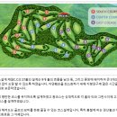 (주)제일스포츠센타 이미지