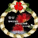 🌹희귀한 꽃 2🌹 이미지