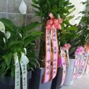 멍멍제과 이미지