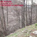 장수주유소 이미지