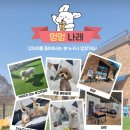멍멍나래 이미지