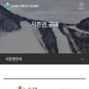 지산 시즌권 온라인 판매 시작 이미지