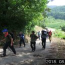 곡성농협주유소 이미지