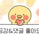 봉래2동-1 이미지