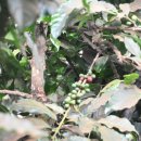 연강농장 이미지