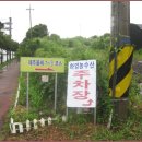 올레농수산 Daum카페