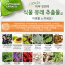 헤어1004 네이버블로그
