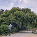 판암동165 이미지