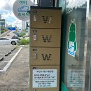 하마 운동화 손세탁 이미지