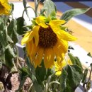 갈산역 2번 출구 이미지