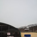 또래마을어린이집 | 포항 기계 풍이랑 곤충체험 5세 아이 재방문후기