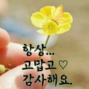 내 운명은 나 자신으로부터 시작 이미지