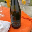 초원빌리지 | 여자혼자 케냐 마사이마라 벌룬 열기구 투어 마사이 빌리지 방문 후기