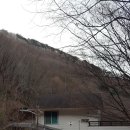 금봉칼국수 이미지