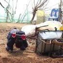 찬호농장 이미지