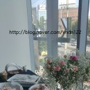 마노모터스 이미지