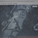 한덕농장 Daum카페