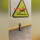 디테일리 이미지