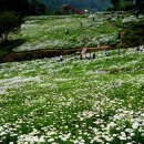 제502차 9/24일 임실 오봉산,국사봉 산행안내(옥정호 붕어섬 출렁다리) 이미지