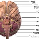 탑동물병원 이미지